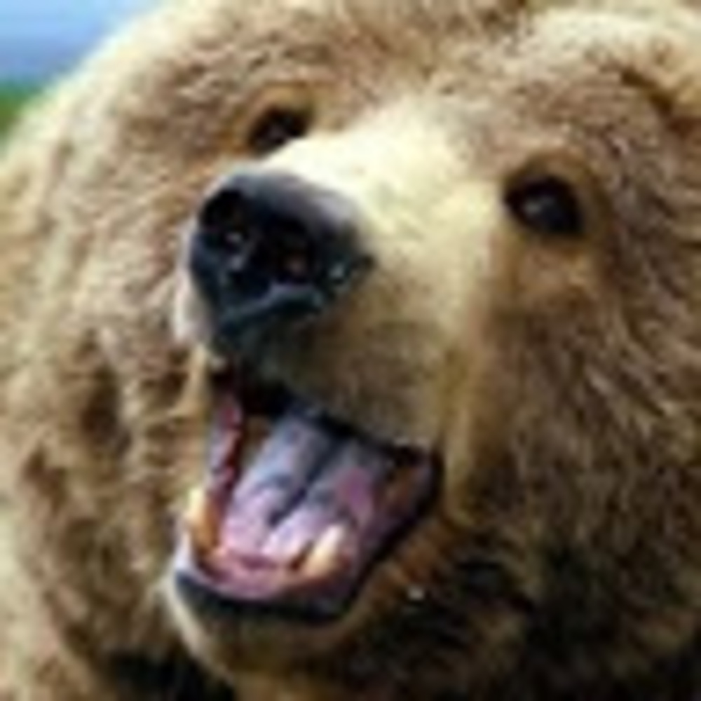 Meet your Posher, Some